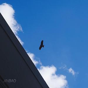 九九热最新获取地址
