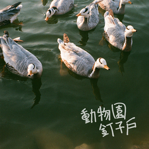 九九热最新获取地址
