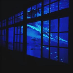 九九热最新获取地址
