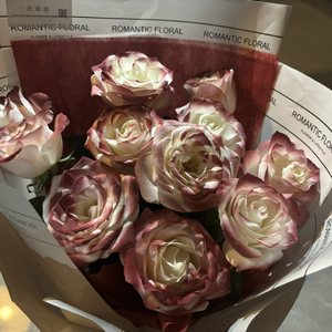 九九热最新获取地址
